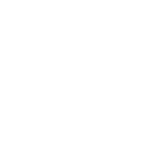 logo-valor-economico