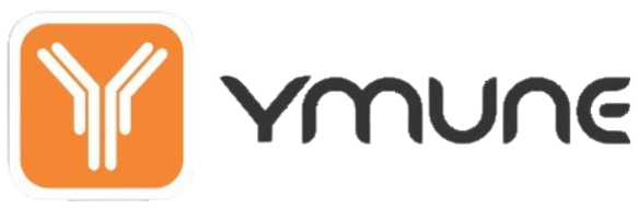 Design-sem-nome-95-e1732121371278